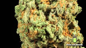 Read more about the article Τι είναι το CBD (αγγλικά)