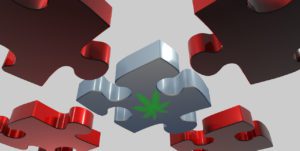 Read more about the article Απαντήσεις σε Συχνές Ερωτήσεις για τα έλαια CBD