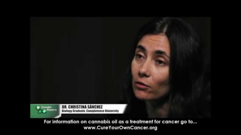 Read more about the article Dr.Christina Sanchez explains how cannabis kills cancer cells