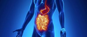Read more about the article CBD και η νόσος του Crohn