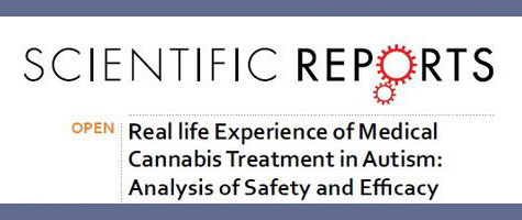 Read more about the article Πραγματική εμπειρία της ιατρικής θεραπείας με κάνναβη στον αυτισμό