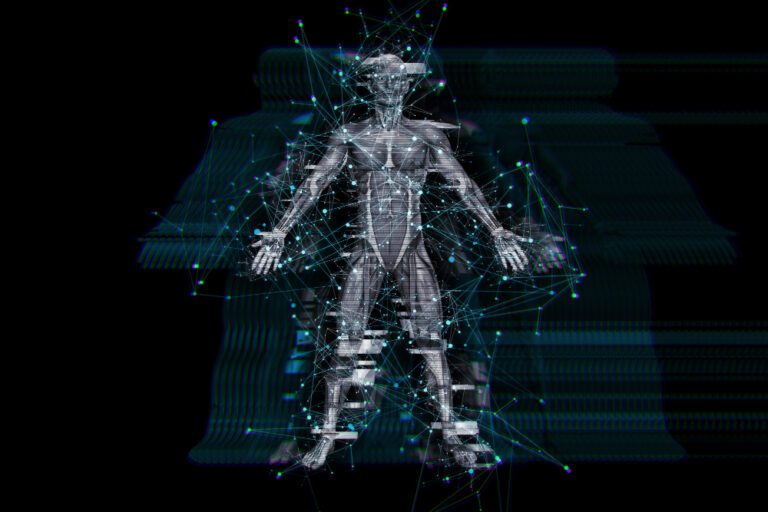 Read more about the article Το Ενδοκανναβινοειδές Σύστημα