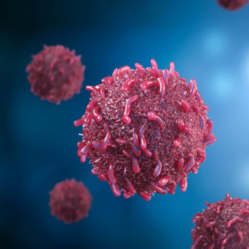 Read more about the article Η χρήση τετραϋδροκανναβινόλης ( THC )σχετίζεται με αύξηση του χρόνου επιβίωσης σε ασθενείς με καρκίνο που υποβάλλονται σε ανακουφιστική θεραπεία